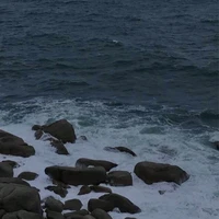 𝐍𝐡â𝐧 𝐯ậ𝐭 𝐛í ẩ𝐧 ᥫᩣ