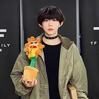 Trần Dịch Hằng