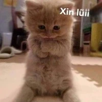 nhiều