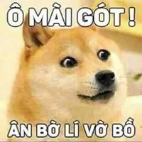tài