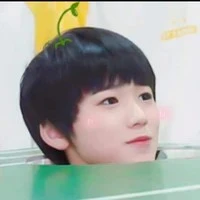 Tống Nguyên Sâm _ anh 4