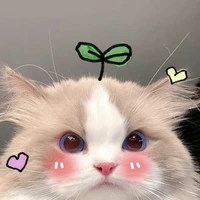 Tui tg thân mến:))