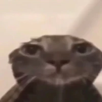 Cân mọi loại cửa