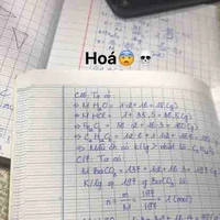 Cân mọi loại giáo viên phụ