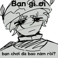 Việt Hòa