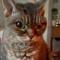 Thằng con trai nào đó