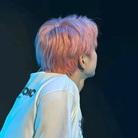 Di sơn