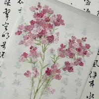 Hệ thống chữa lành 1314