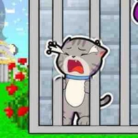 Mèo