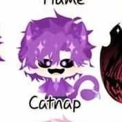 hiha catnap