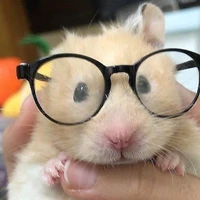 Sốp iu tất cả các pé 😽