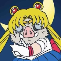 Tác giả hay bí idea