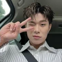 dương domic