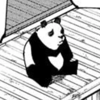 panda