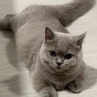 Munmuang