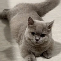 Munmuang