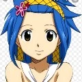 levy