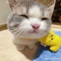 tgia xinh gái đâyyy