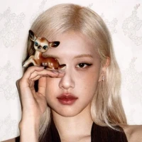 Park Chaeyoung(cô)