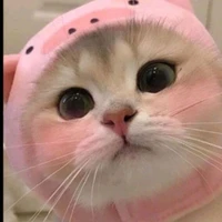 tác giả nhây:))