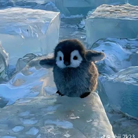 Pingu