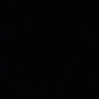 nvp