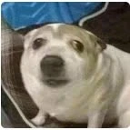 Ry