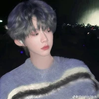 Trần Dịch Hằng