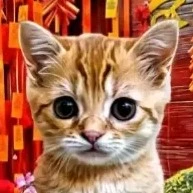 Hệ thống chủ
