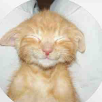 Tác giả đẹp gái🐱