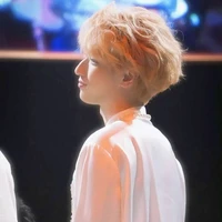 Nghiêm Hạo Tường