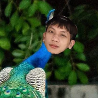 Phạm Vũ Hoài Nam