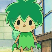 kipo