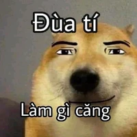 nv phụ