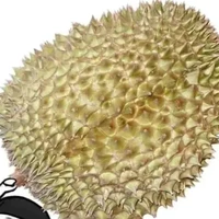 tác giả