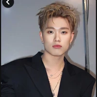 Trần Đăng Dương (Dương Domic)