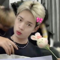 Nguyễn Thanh Pháp|Pháp kiều