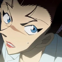 Rena mizurasi/ kir