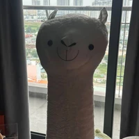 Tác giả vô tri