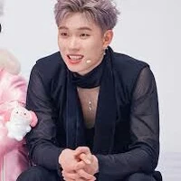 dương domic