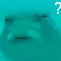 t/g