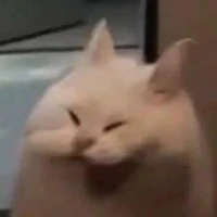 𝐍𝐕𝐏 (đừng có cười, nó phản diện đó)