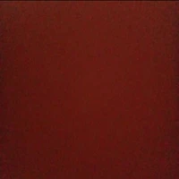 tất cả mn trừ vài người