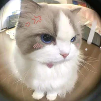 Mi Du đu Rhycap 🤯