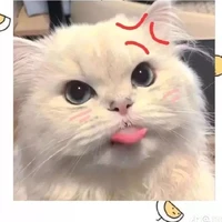 đàn em