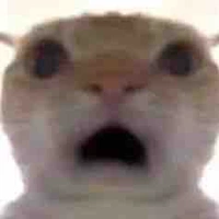 Ngồi xem Rin móc Yoi