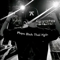 Phạm Đình Thái Ngân