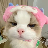 hệ thống yêu Cap