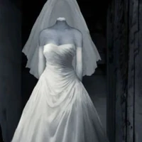Mr bride