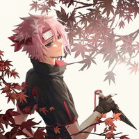 Sakushi Uchiha